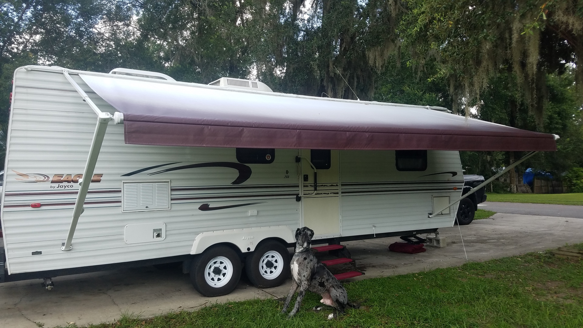 how-to-clean-rv-awning-with-dawn