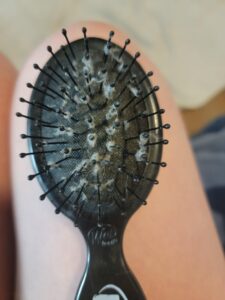 how to clean a hairbrush lint