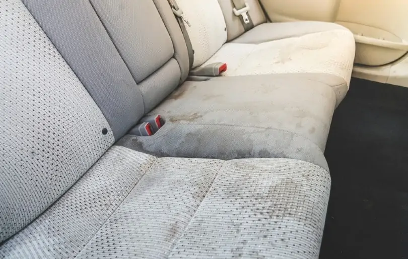 I Peed In My Car, How to Clean? (REMOVE SMELL)